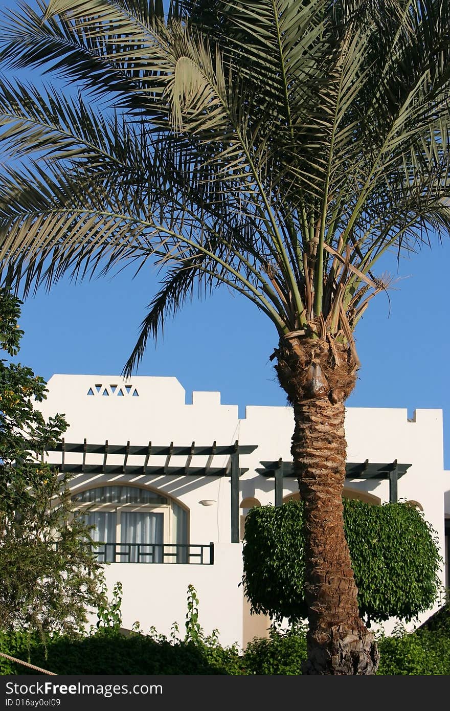 Luxury tropical hotel resort front at twilight with a palm tree. Luxury tropical hotel resort front at twilight with a palm tree