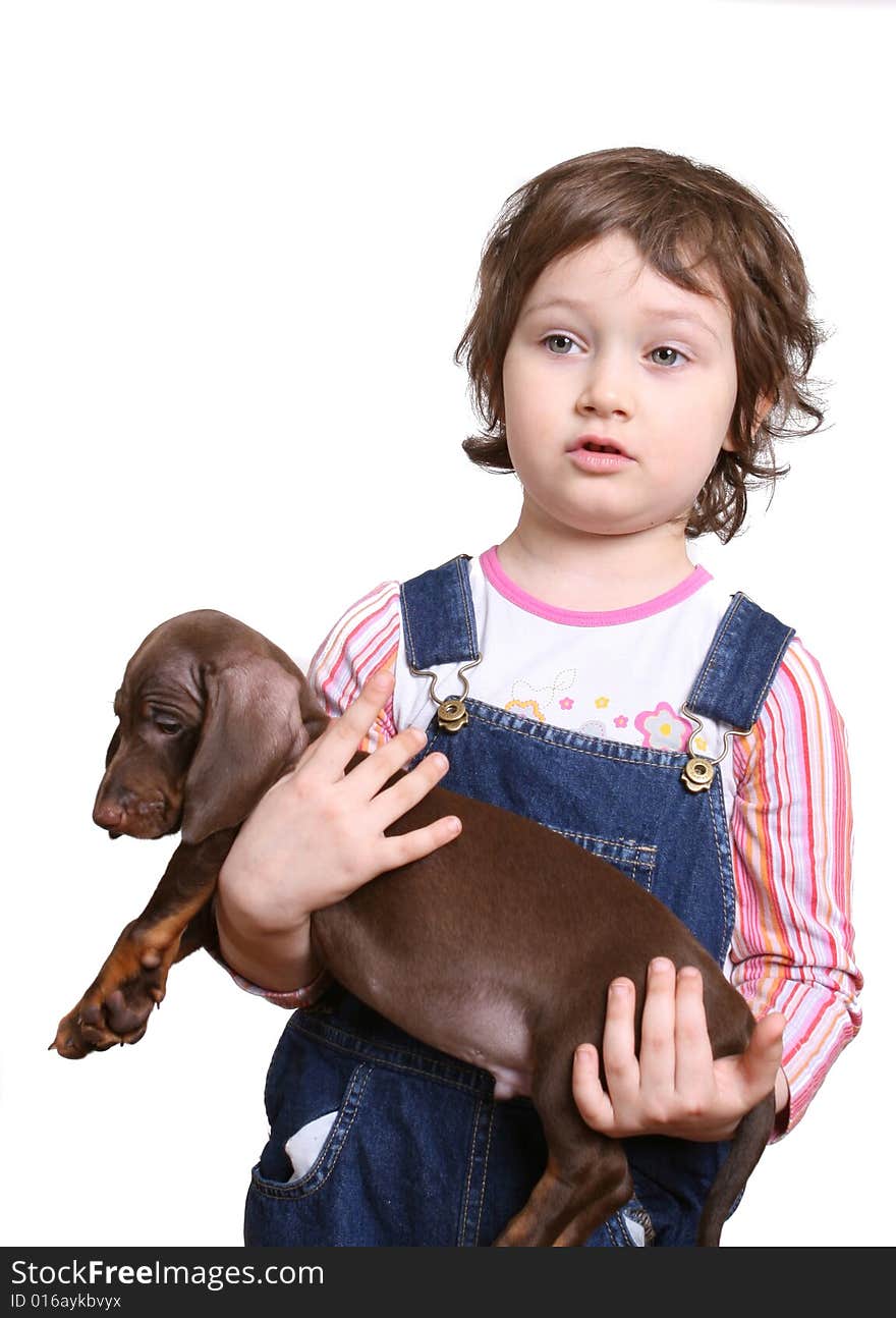 Little girl with dachshund puppy on white ground