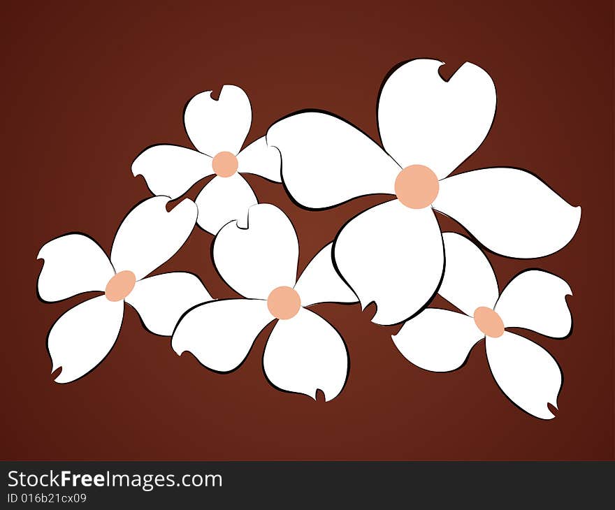 White flowers background  illustration