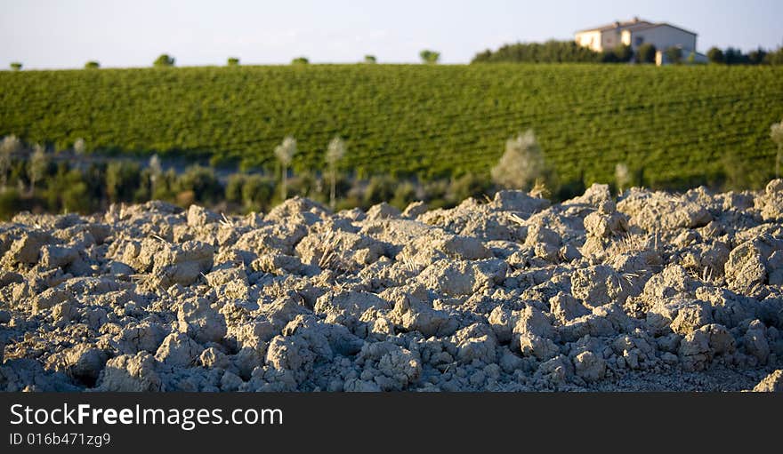 Tuscan Landscape, isolated farm