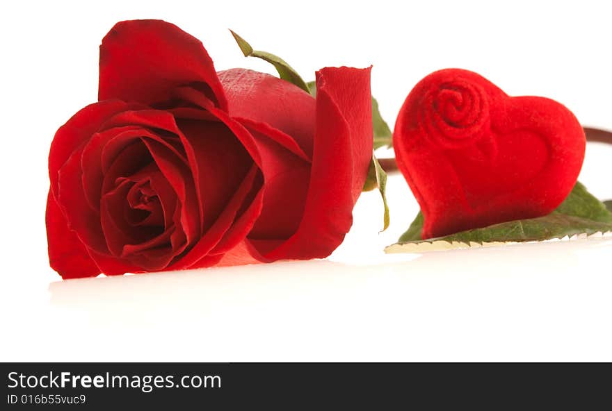 This rose and my heart to you