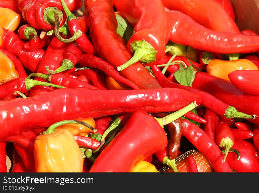 Bunch Of Hot Chili Peppers