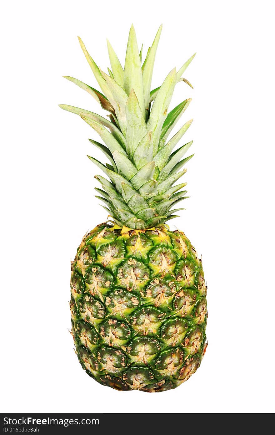 Pineapple