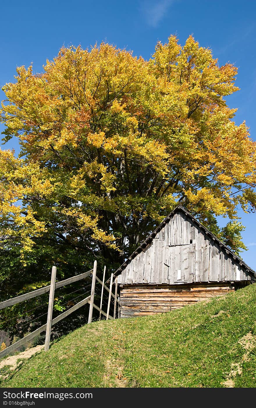 Autumn is coming in romanian mountains (Carpathians). The image is made in village of Magura, in Piatra Craiului National Park. Autumn is coming in romanian mountains (Carpathians). The image is made in village of Magura, in Piatra Craiului National Park