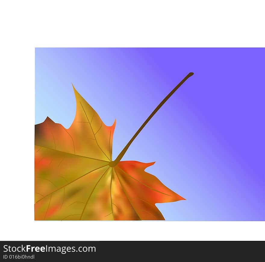 Autumn Leaf