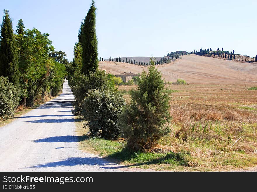 The caracteristic  view in tuscany. The caracteristic  view in tuscany