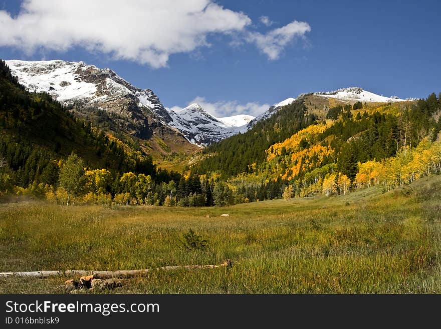 High Mountain Flat in the fall showing all the fall colors with mountains in the background. High Mountain Flat in the fall showing all the fall colors with mountains in the background