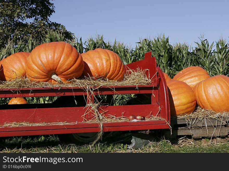 Pumpkins On Red Farm Wagon