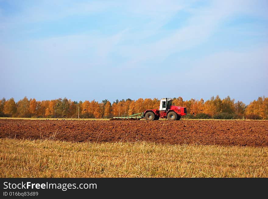 Plowing under a second growth of wheat shoots in autumn