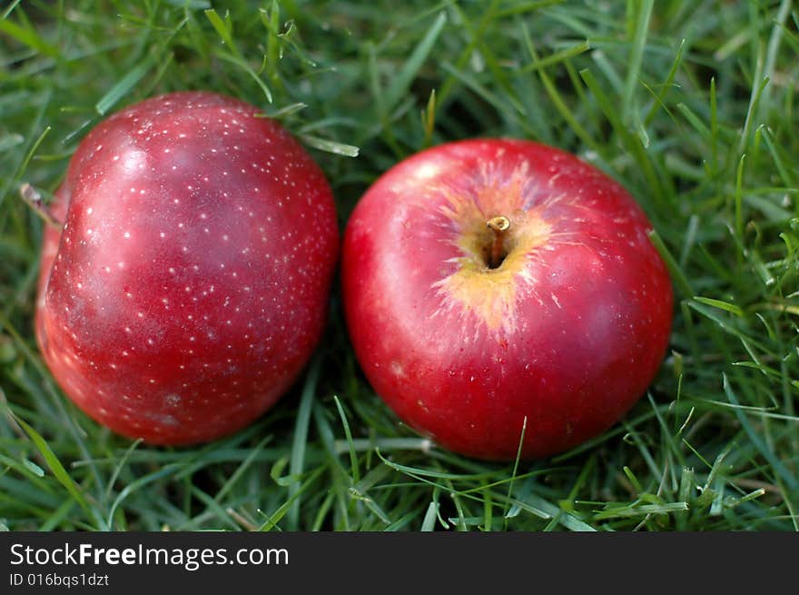 Two red apples on the green herb. Two red apples on the green herb.