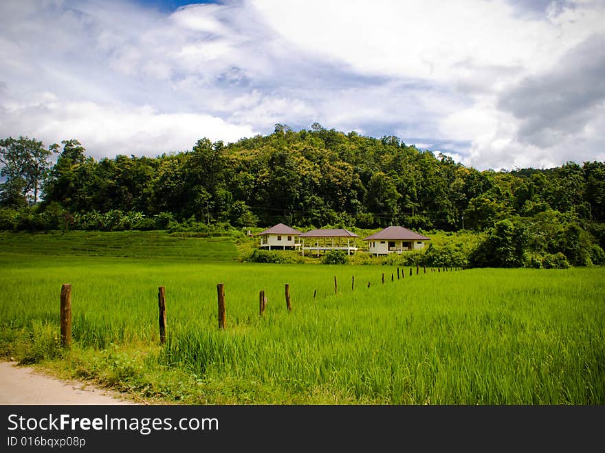 Country view of green farm in rural area. Country view of green farm in rural area