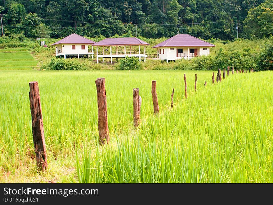 Country view of green farm in rural area. Country view of green farm in rural area