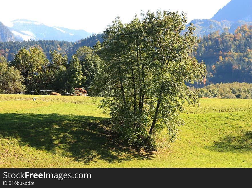 A wunderful afternoon in the tirolean alps. A wunderful afternoon in the tirolean alps