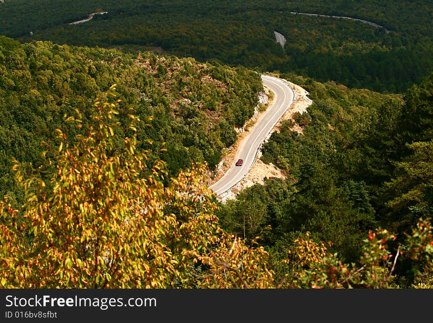 A red car in the forest road. A red car in the forest road