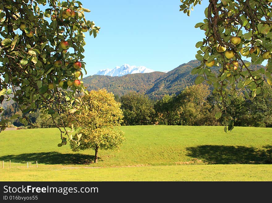 A wunderful afternoon in the tirolean alps near ku. A wunderful afternoon in the tirolean alps near ku