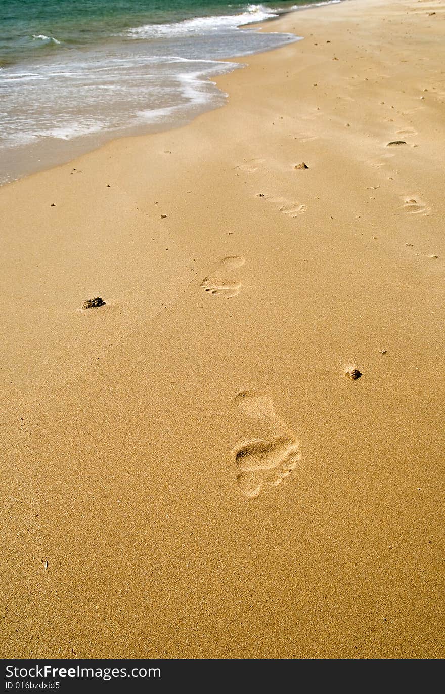 Footsteps on the beach