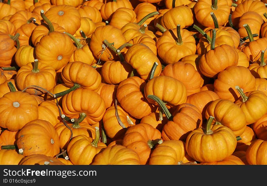 Pumpkin Background