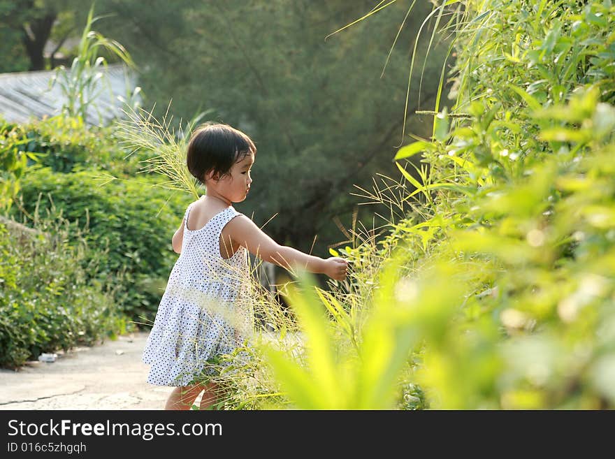 A lovely Chinese children to play outdoors. A lovely Chinese children to play outdoors.