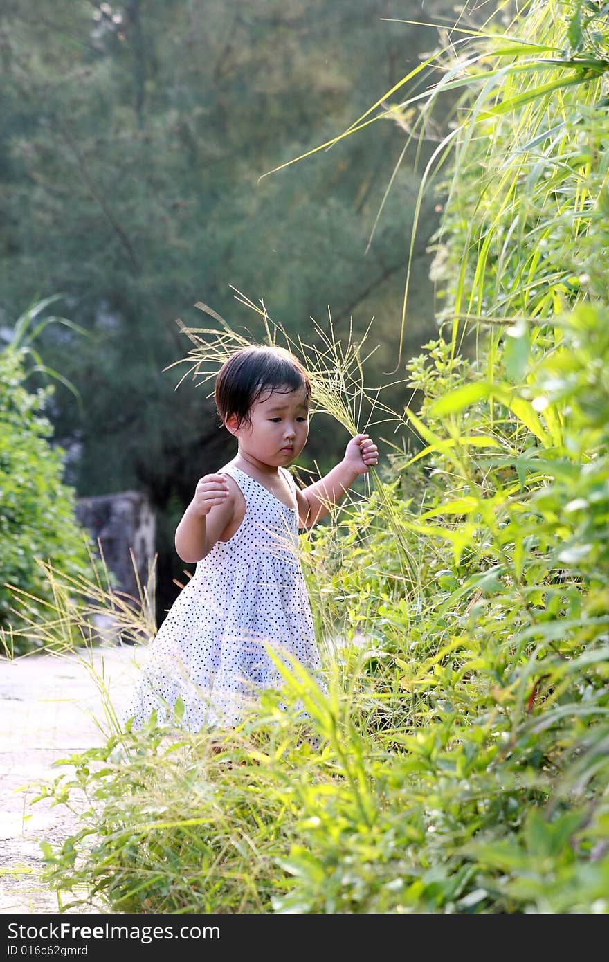 A lovely Chinese children to play outdoors. A lovely Chinese children to play outdoors.