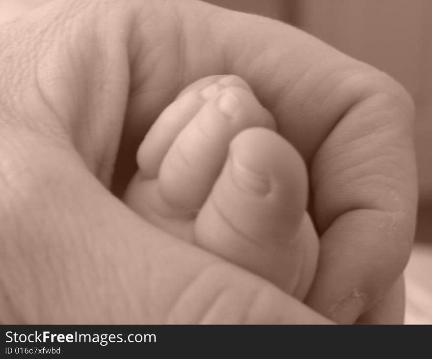 Adult Hand Holding Infant Foot