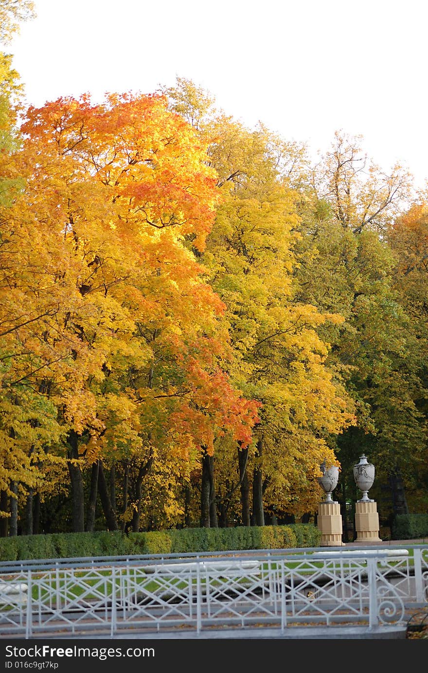 Beautiful autumn park with a white bridge