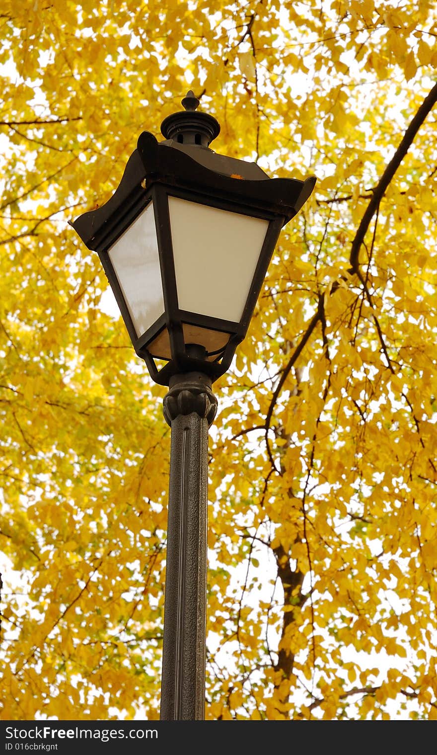 Street lantern on a background an autumn foliage