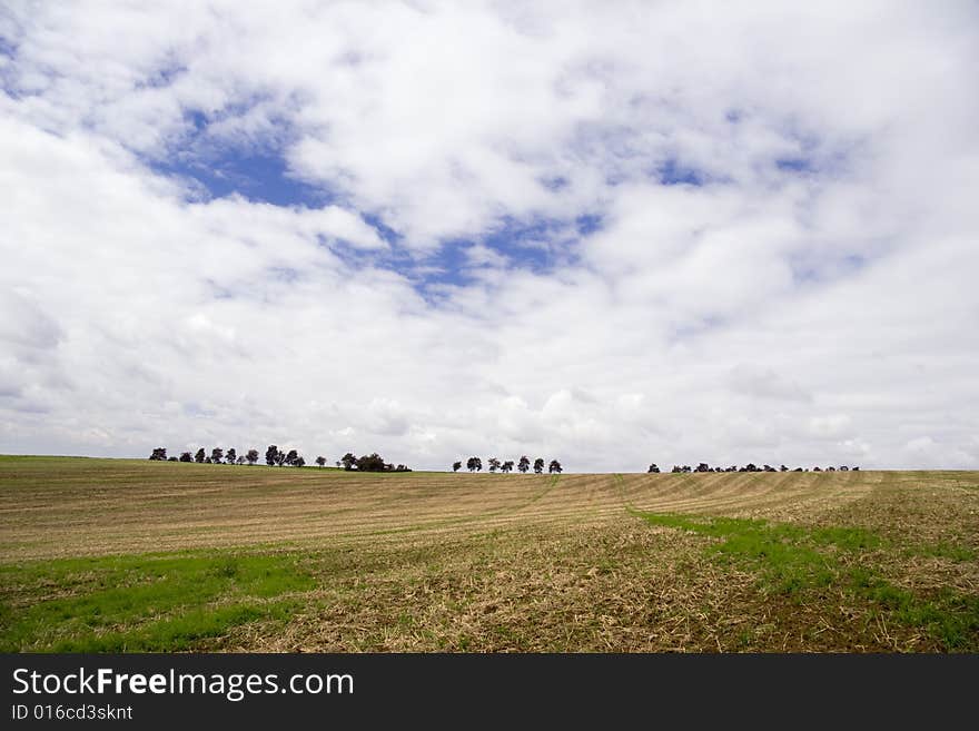 Agriculture Landscape