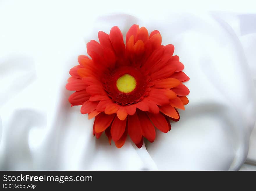 Red flower on white silk