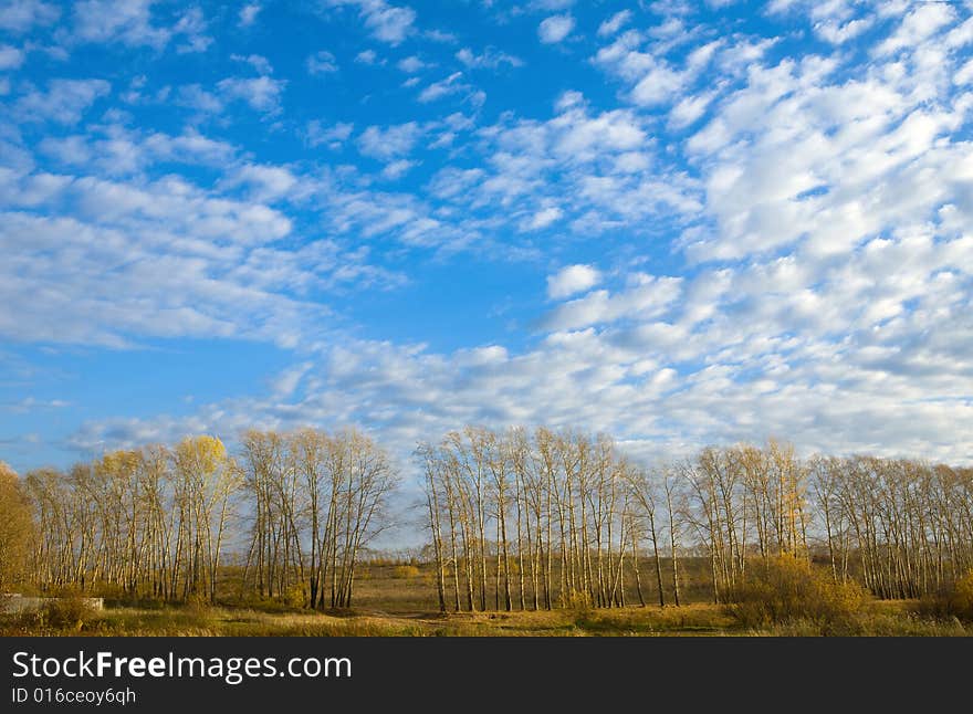 Landscape with sky and autumn trees. Landscape with sky and autumn trees