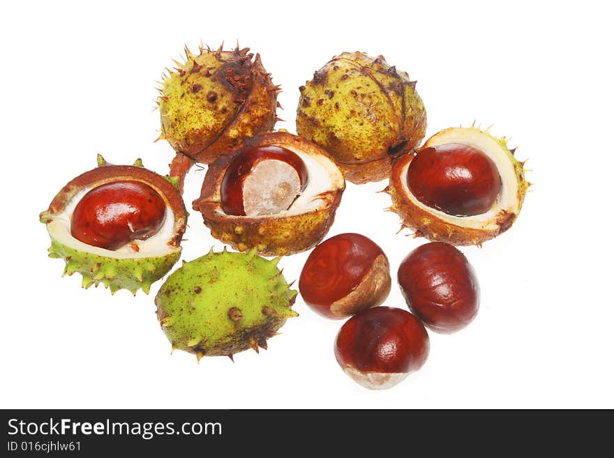 Conker Group