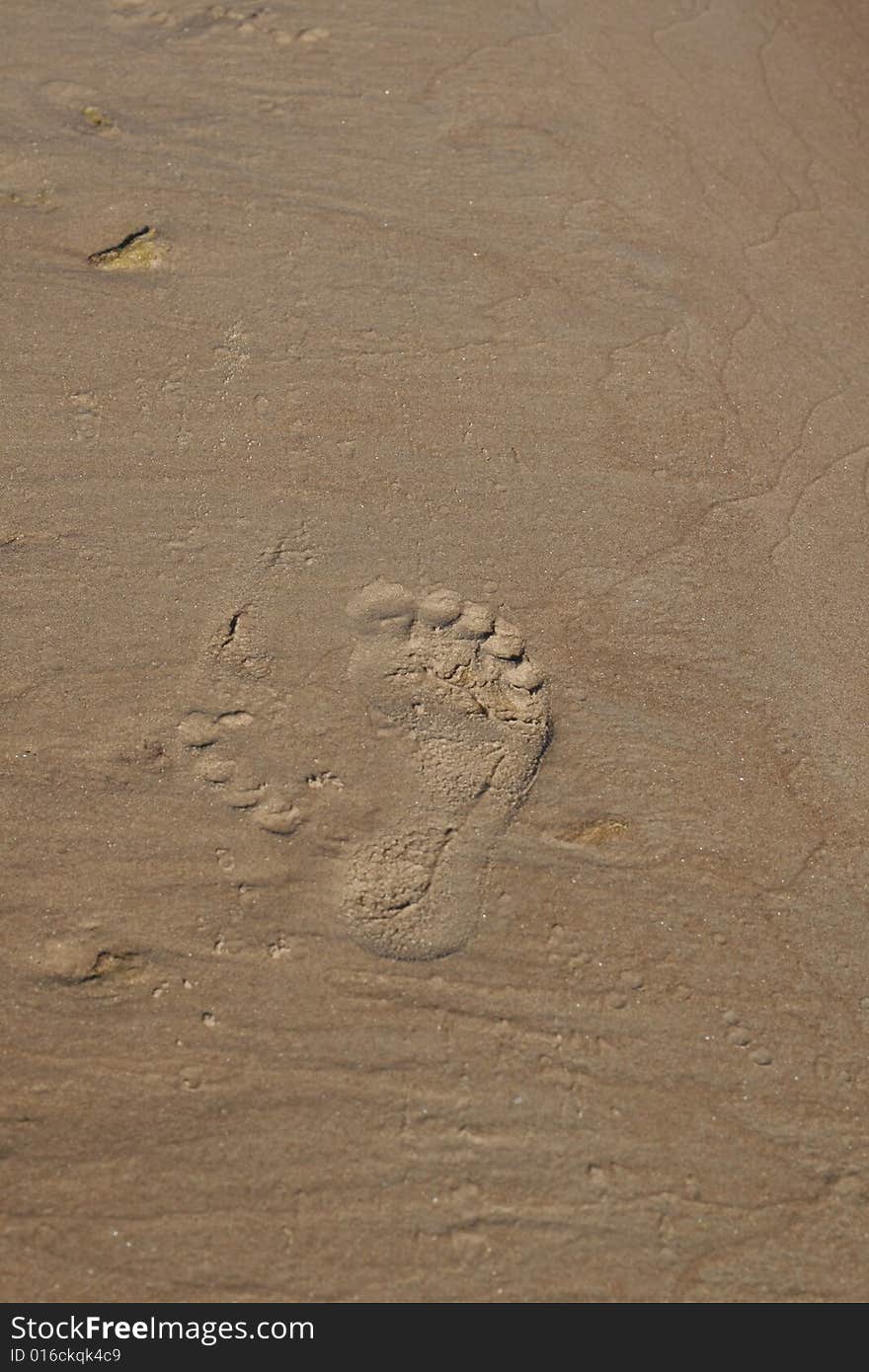 Wet sand texture with one big footprint