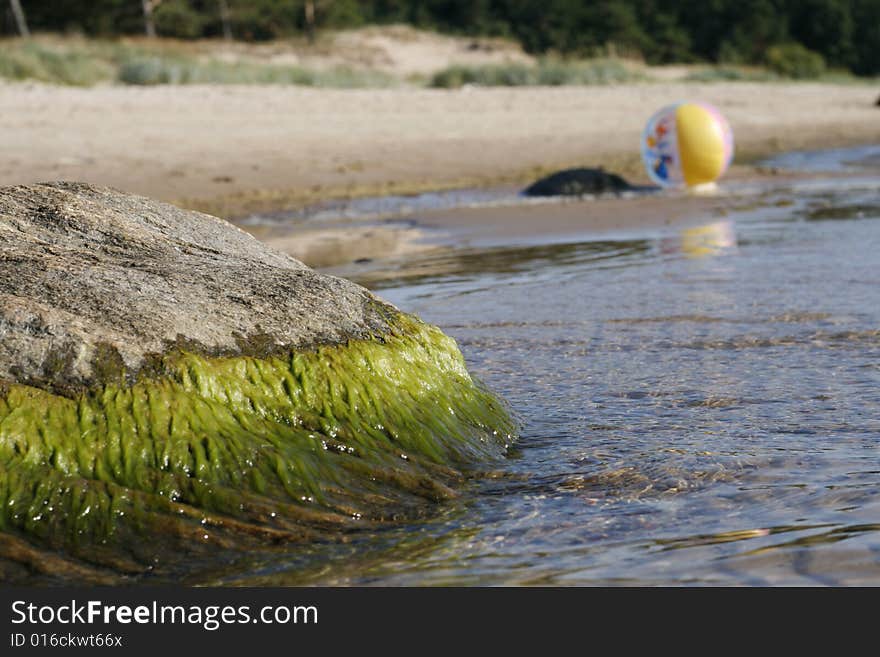 Stone with sea algae and beachball on background. Stone with sea algae and beachball on background