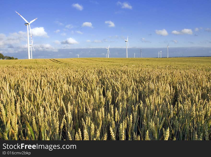 Wind turbines farm in Poland. Wind turbines farm in Poland