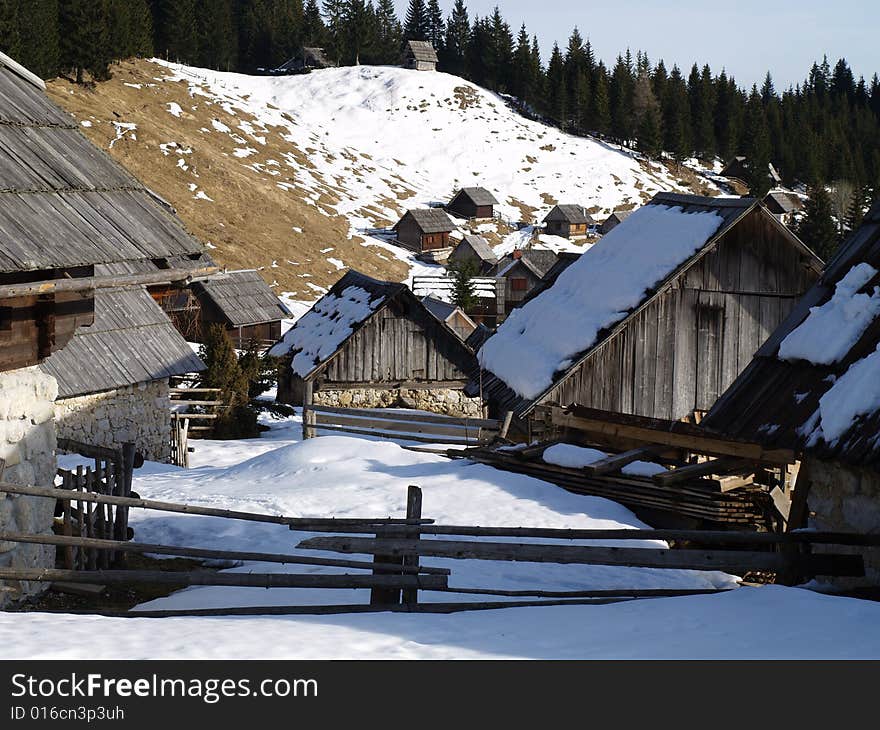 Zajamniki dairy farms