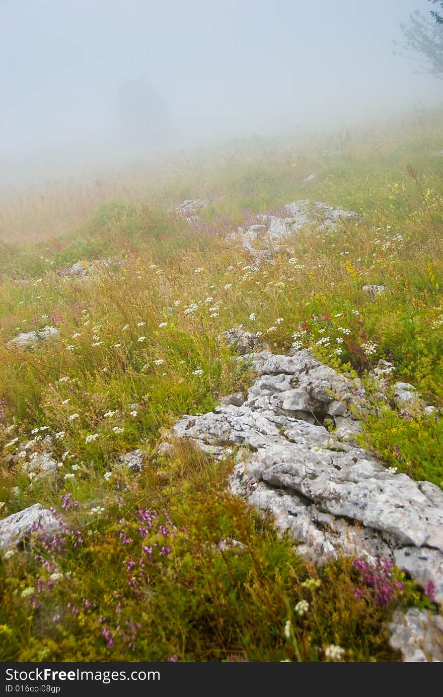 Misty morning meadow in Crimea mountains, Ukraine. Stones on a foreground