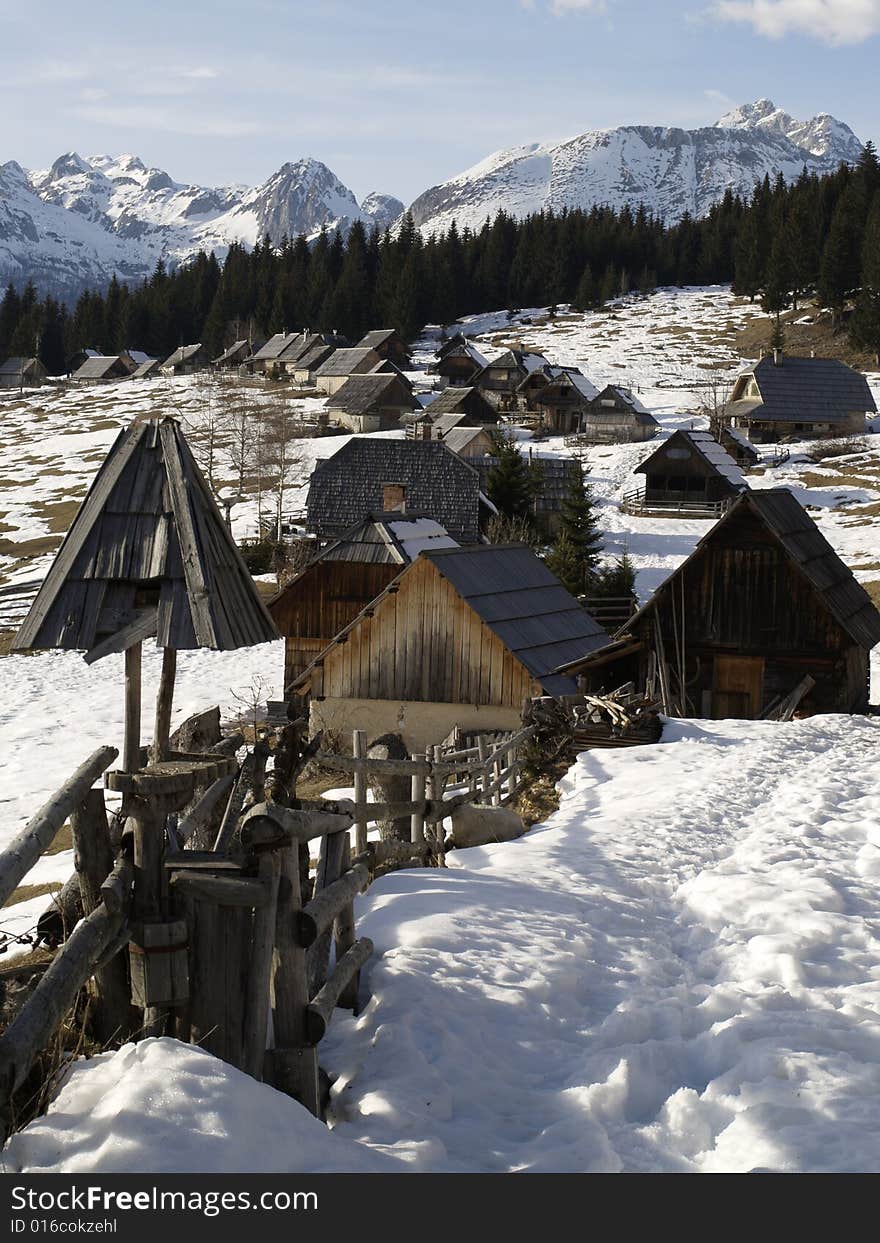 In Slovenia on Pokljuka plateau lies the dairy farm village named Zajamniki. Shepherd take care for the birds also as you can see.