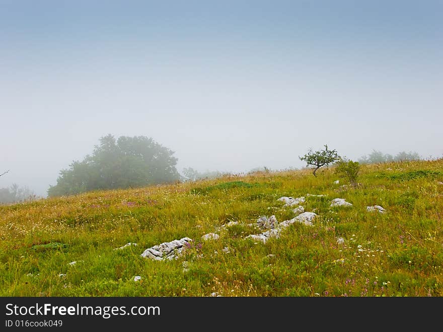 Misty morning meadow in Crimea mountains, Ukraine. Stones on a foreground