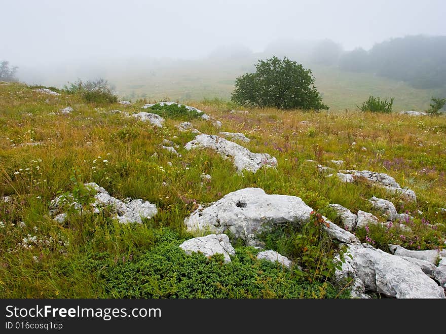 Misty morning meadow in Crimea mountains, Ukraine. Stones on a foreground