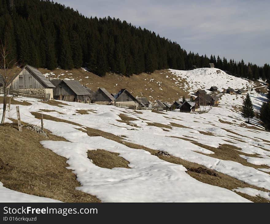 Zajamniki Dairy Farms