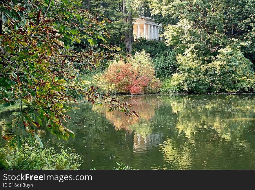 Autumn branches over water.