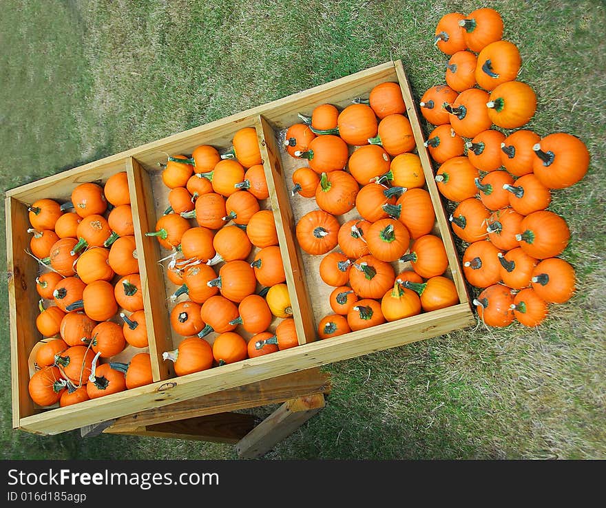 Pumpkins photographed at local outdoor market in rural Georgia. Pumpkins photographed at local outdoor market in rural Georgia.