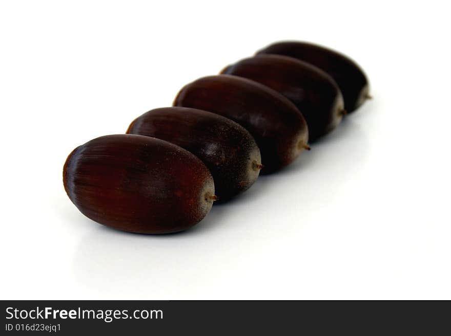 Five acorns lined up in a row taken with a shallow depth of field. Five acorns lined up in a row taken with a shallow depth of field