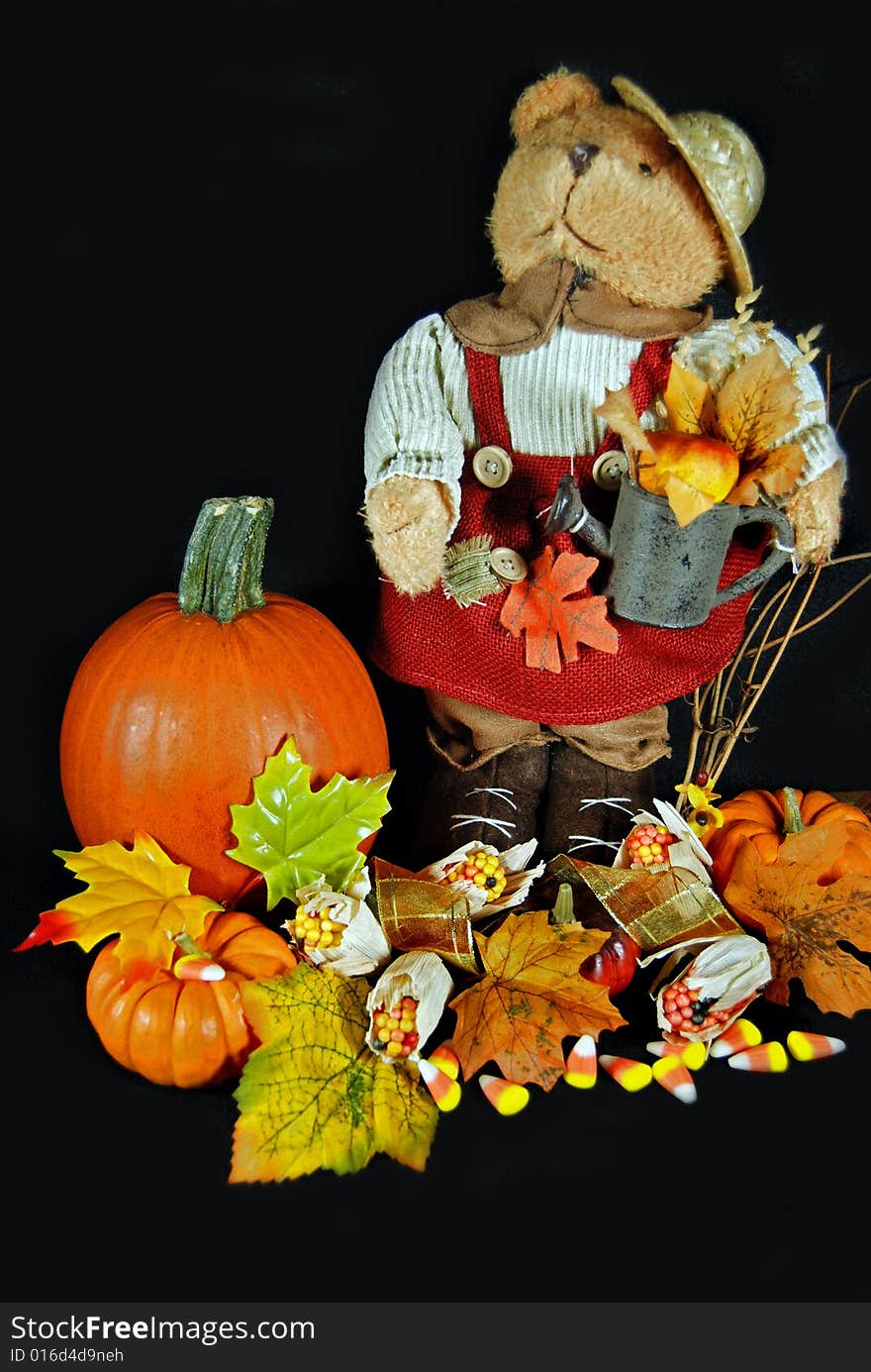 Cute teddy bear in an autumn display. Cute teddy bear in an autumn display.