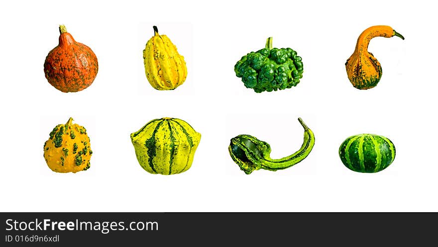 An isolated set of different pumpkins (cucurbita pepo). An isolated set of different pumpkins (cucurbita pepo)