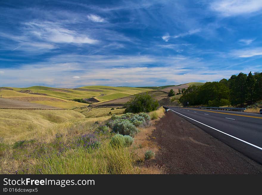 Road into Wheat