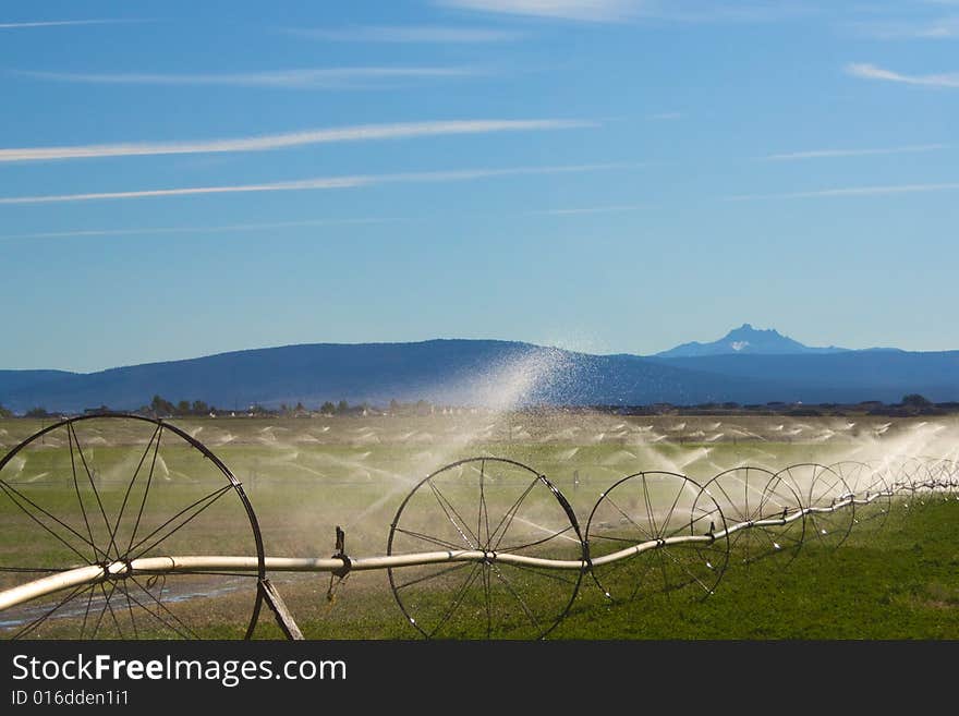 Watering In Oregon