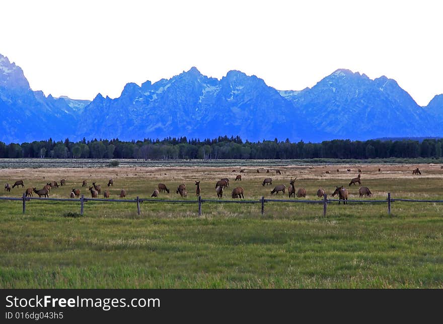 The Grand Teton National Park