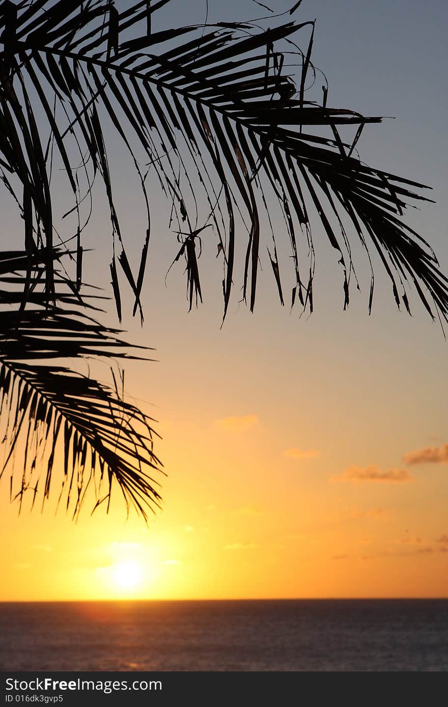 A beautiful sunset with coconut tree. A beautiful sunset with coconut tree.