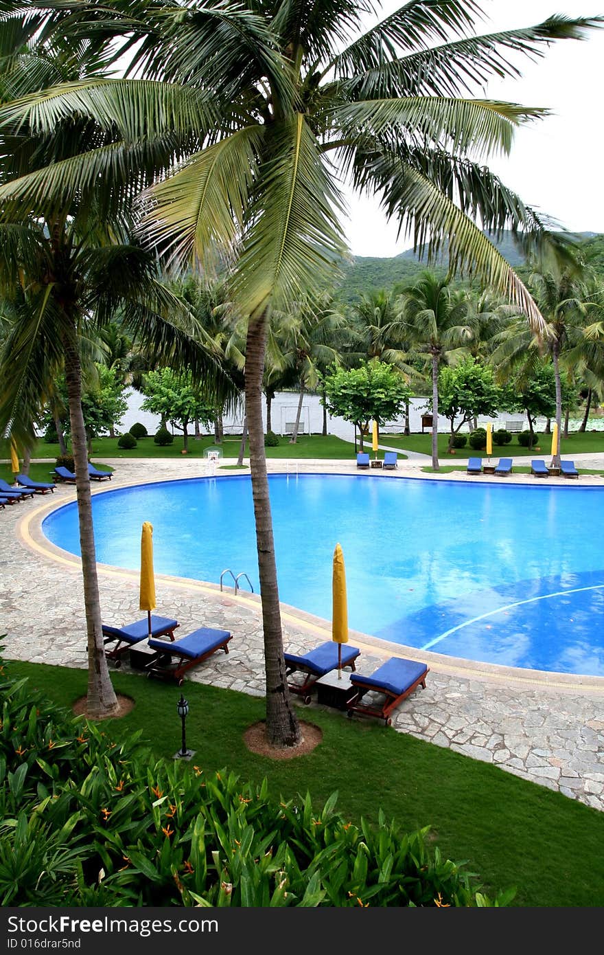 Outdoor swimming pool with coconut palms around, and rest bed on the bank.