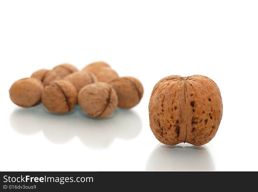 Huge walnut and many small walnuts